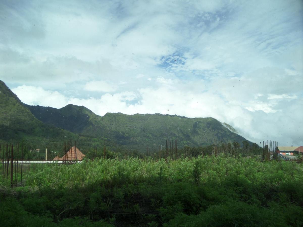 Bromo Permai 1 Hotel Ngoại thất bức ảnh