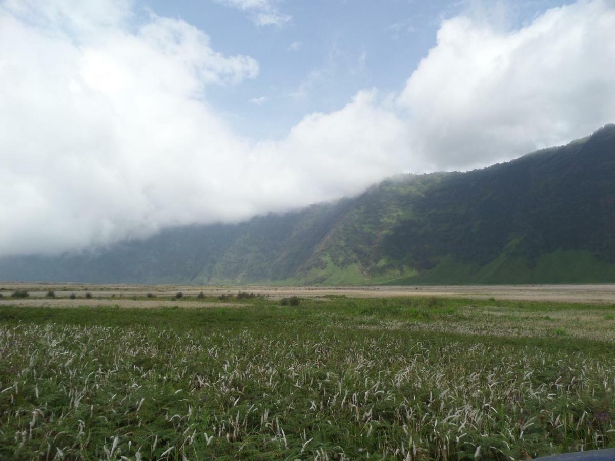 Bromo Permai 1 Hotel Ngoại thất bức ảnh