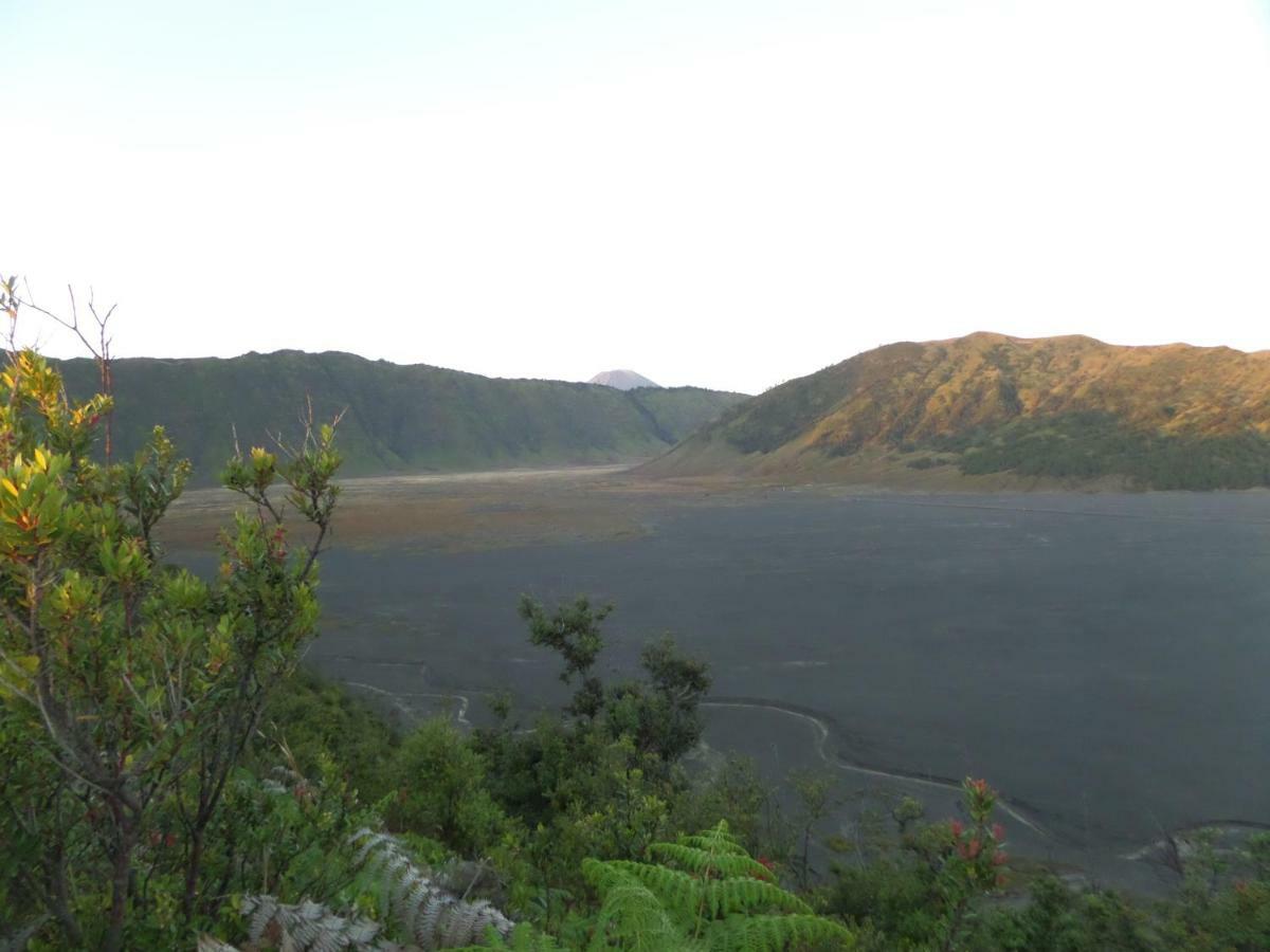 Bromo Permai 1 Hotel Ngoại thất bức ảnh