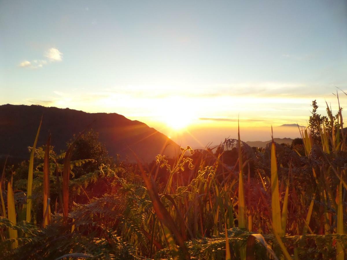 Bromo Permai 1 Hotel Ngoại thất bức ảnh